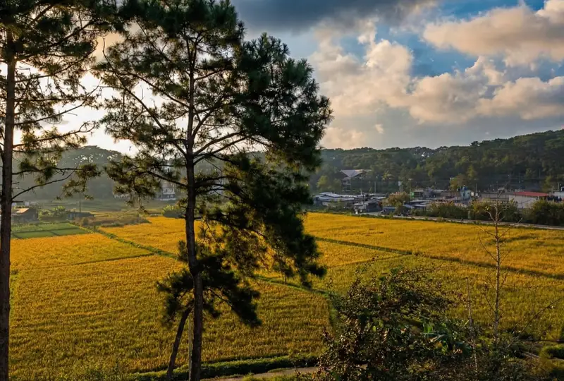 Scenic hillside view from Lawei Homestay in Shillong, Meghalaya